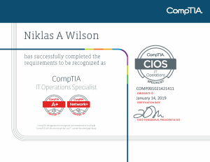 Niklas Wilson Testout Pro Network Certification